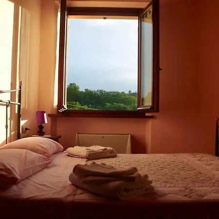 ファームステイ 